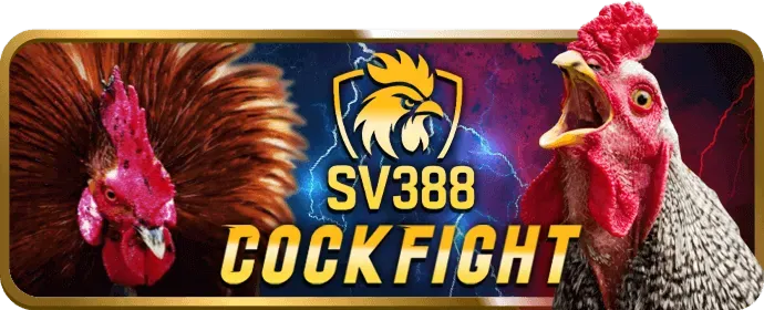 Tổng quan Chương Trình VIP go99 nhà cái